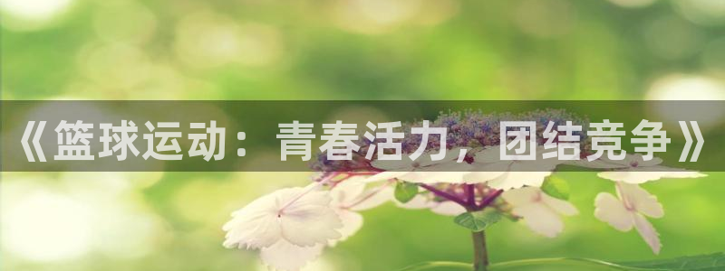 球王会体育