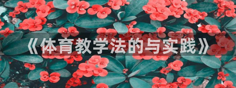 球王会体育