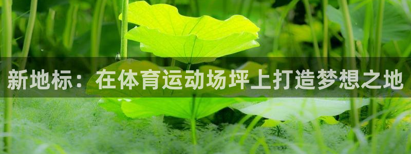 球王会体育