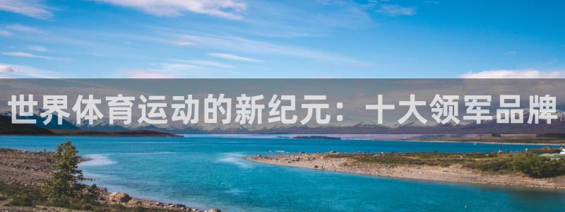 球王会体育：世界体育运动的新纪元：十大领军品牌