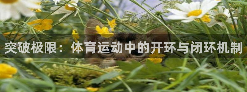 球王会体育：突破极限：体育运动中的开环与闭环机制