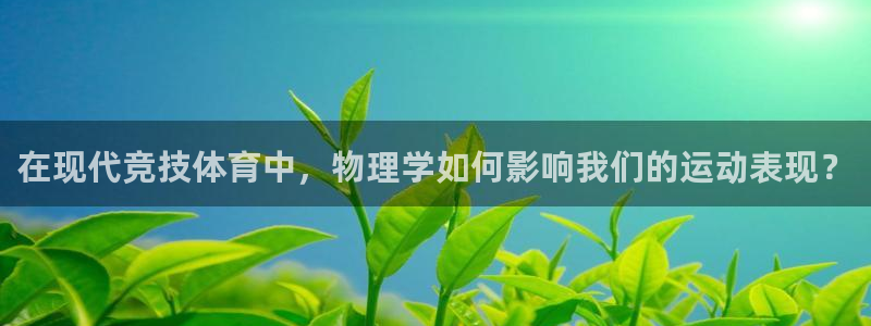 球王会体育