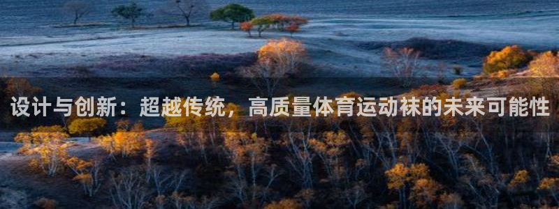 球王会体育：设计与创新：超越传统，高质量体育运动袜的未来可能性