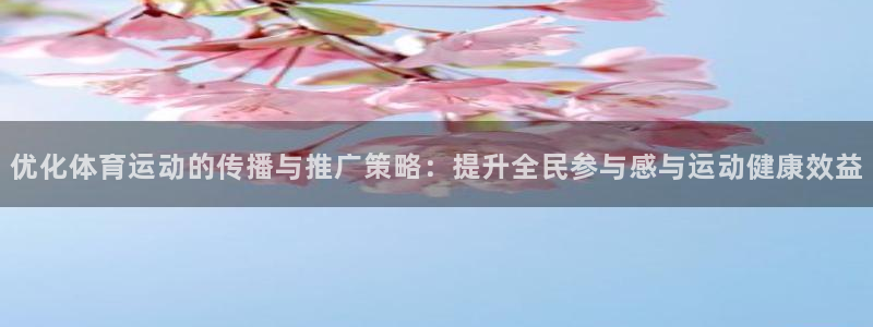 球王会体育