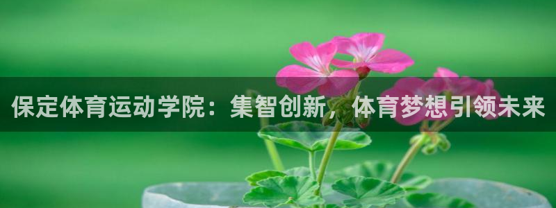 球王会体育